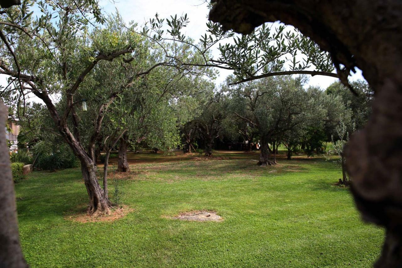 Villa Spanja Vodice Extérieur photo